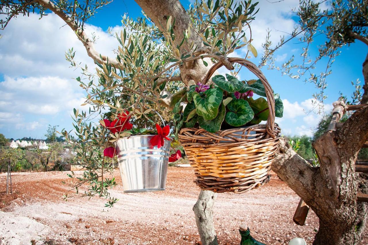 Holiday home Liberamente - Trulli & Quiete Locorotondo